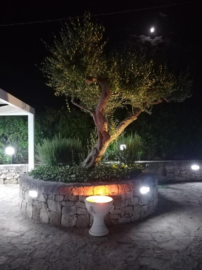 Trullo Monte Del Sale ξενώνας Αλμπερομπέλο Εξωτερικό φωτογραφία