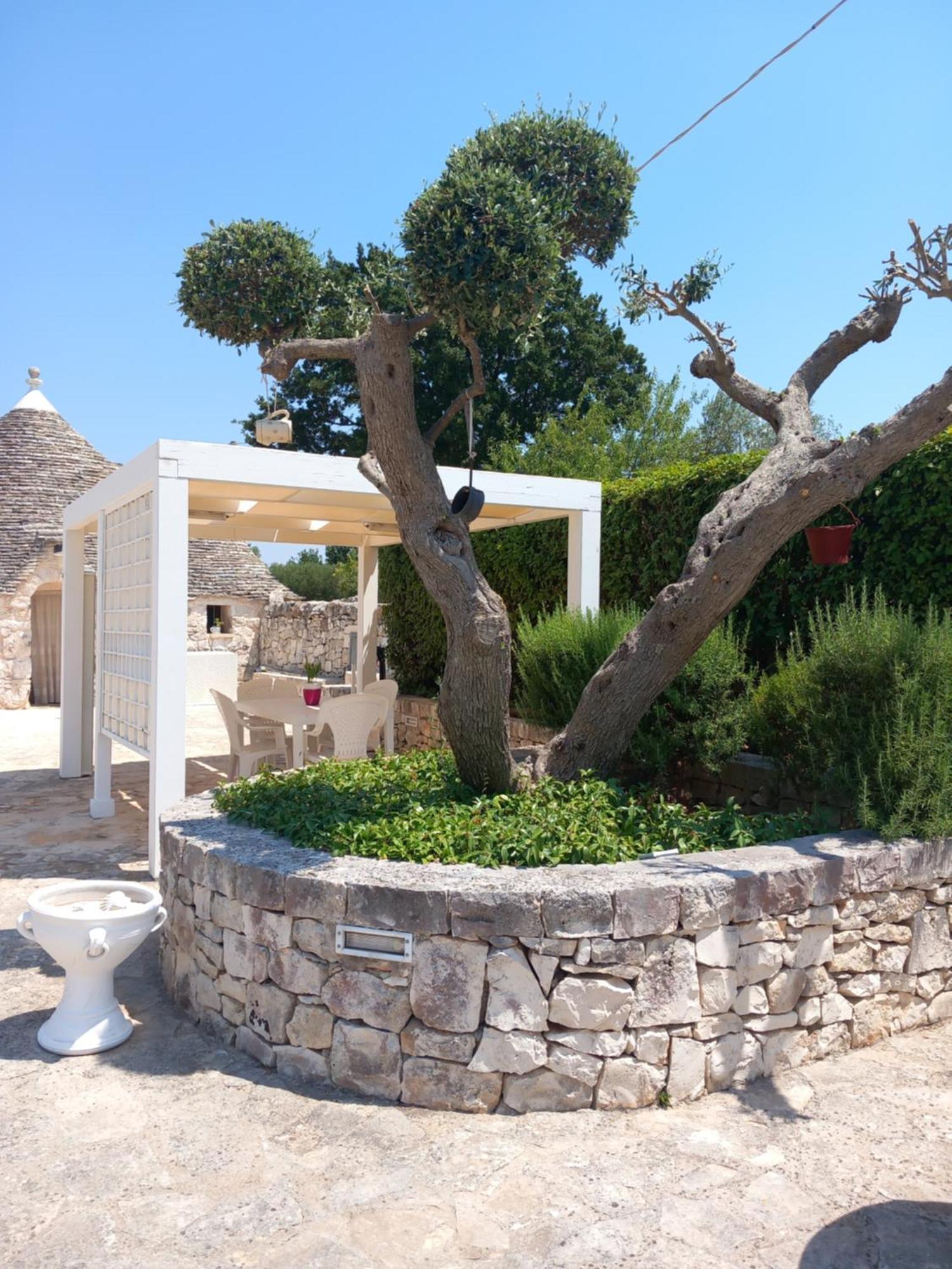 Trullo Monte Del Sale ξενώνας Αλμπερομπέλο Εξωτερικό φωτογραφία