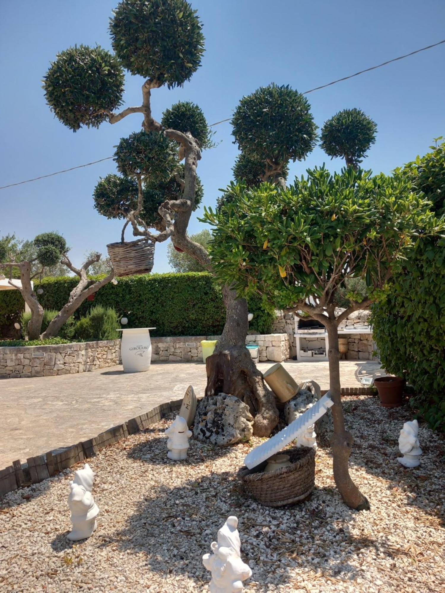 Trullo Monte Del Sale ξενώνας Αλμπερομπέλο Εξωτερικό φωτογραφία