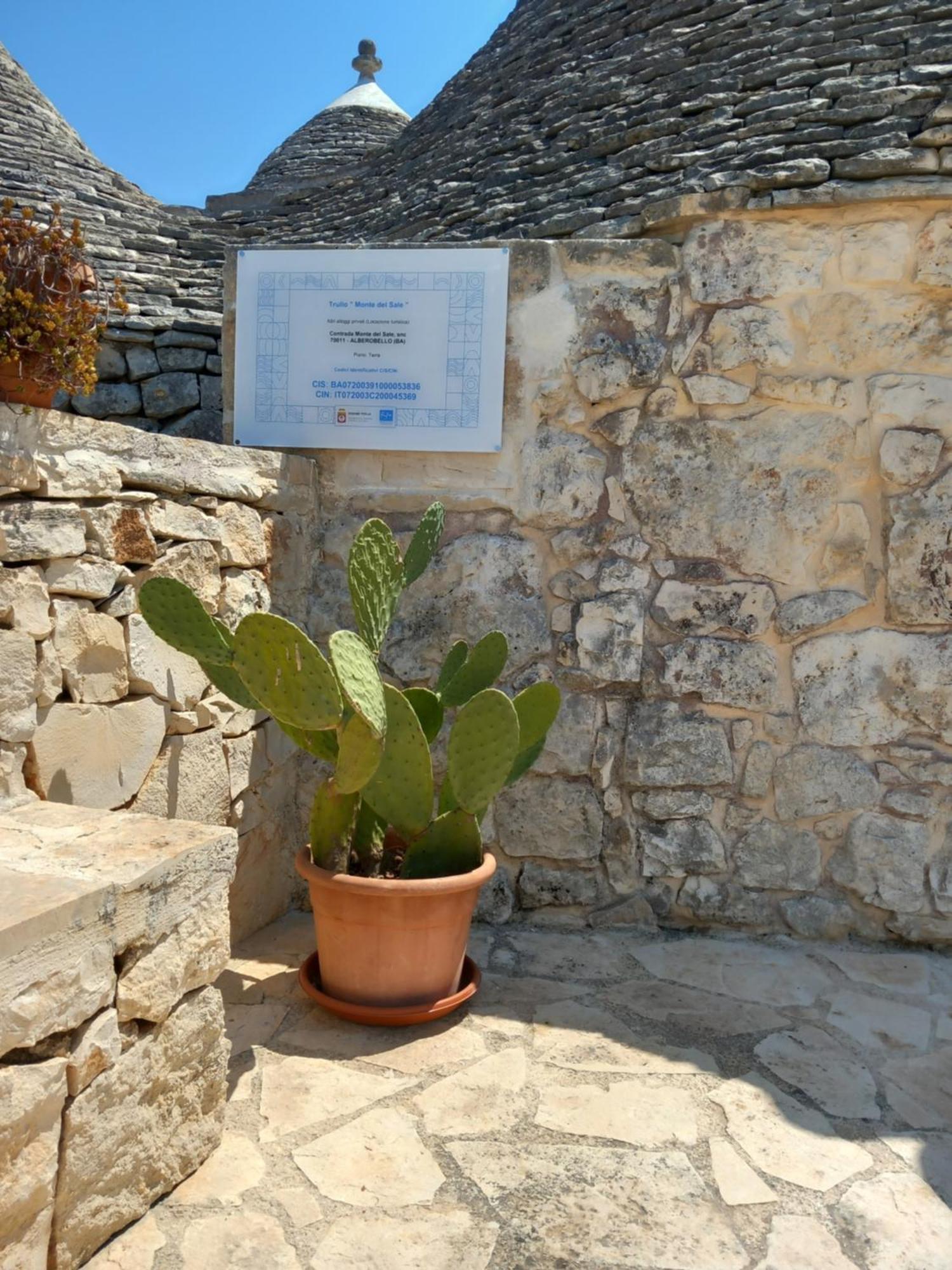 Trullo Monte Del Sale ξενώνας Αλμπερομπέλο Εξωτερικό φωτογραφία