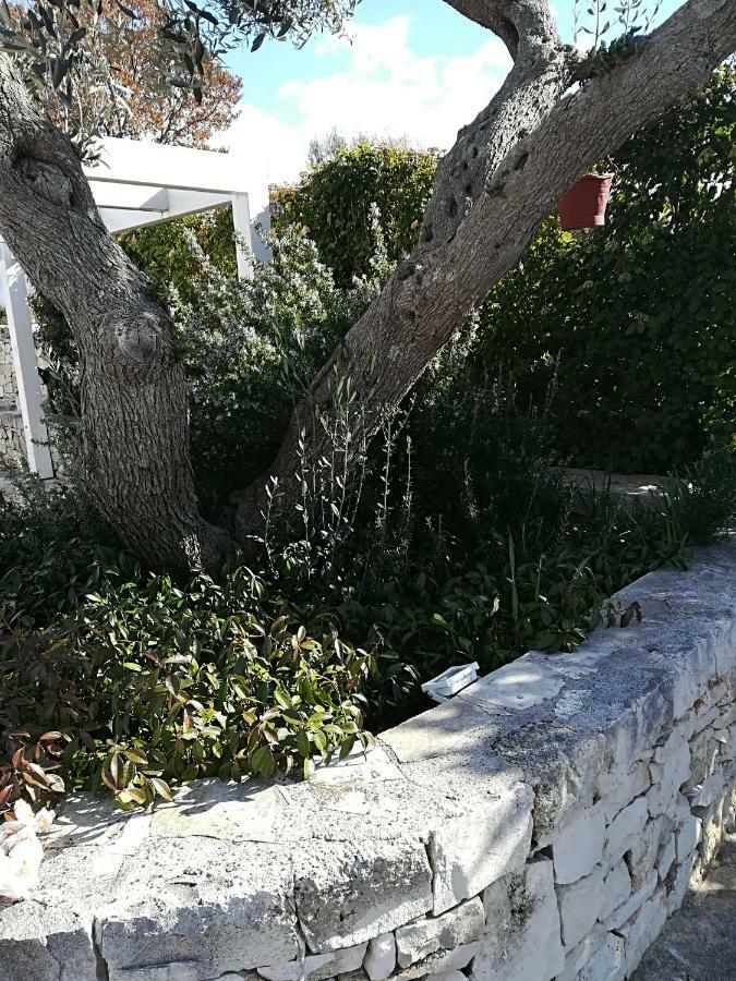 Trullo Monte Del Sale ξενώνας Αλμπερομπέλο Εξωτερικό φωτογραφία