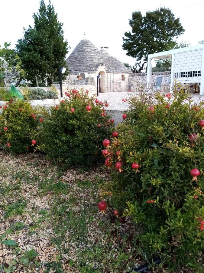 Trullo Monte Del Sale ξενώνας Αλμπερομπέλο Εξωτερικό φωτογραφία